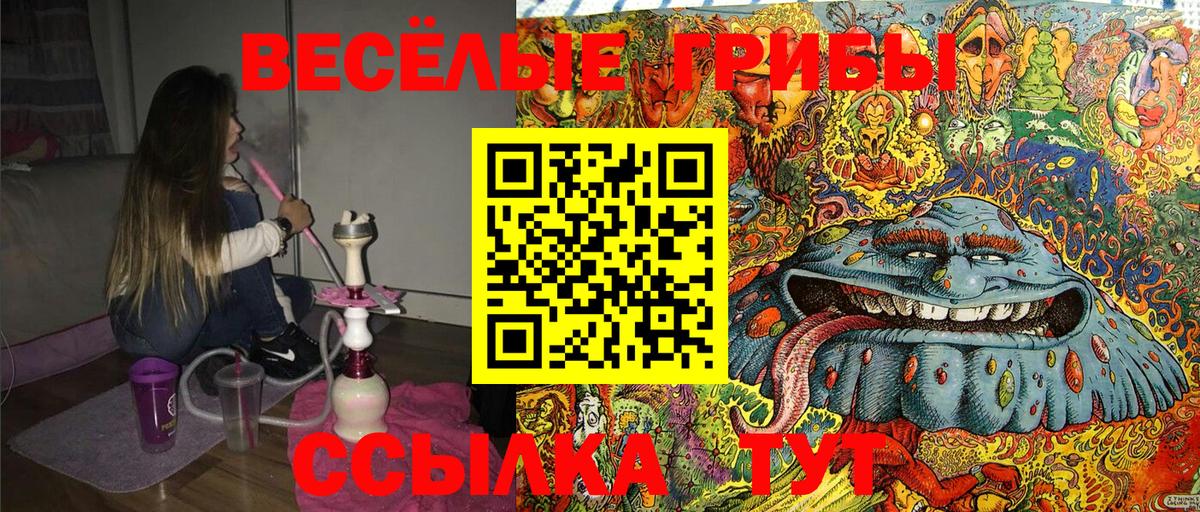 Галлюциногенные грибы мицелий  Вход с VPN  Тара 